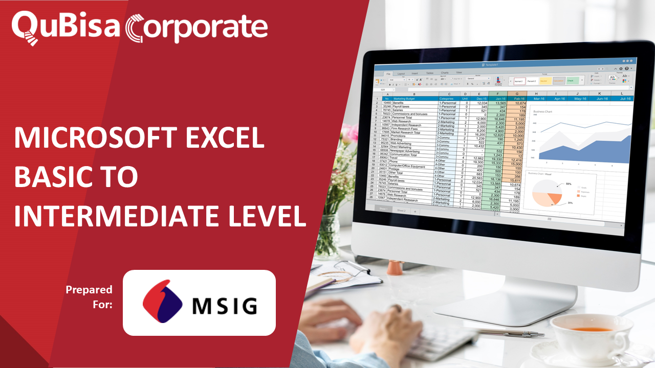 Microsoft Excel Basic for MSIG